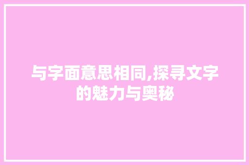 与字面意思相同,探寻文字的魅力与奥秘