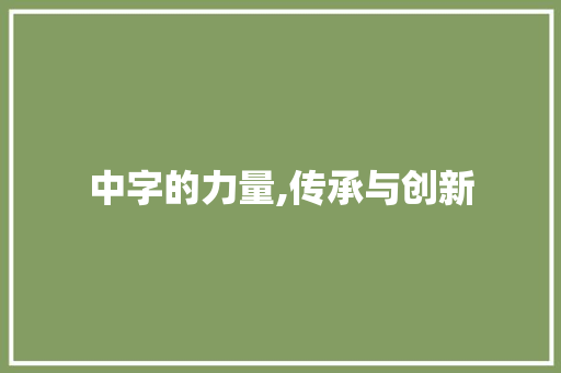 中字的力量,传承与创新