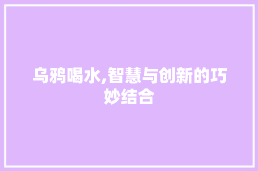 乌鸦喝水,智慧与创新的巧妙结合
