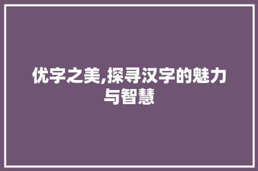 优字之美,探寻汉字的魅力与智慧