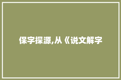 保字探源,从《说文解字