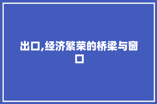 出口,经济繁荣的桥梁与窗口