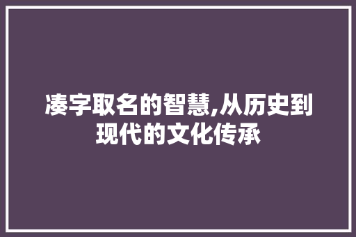 凑字取名的智慧,从历史到现代的文化传承