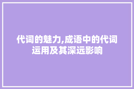 代词的魅力,成语中的代词运用及其深远影响