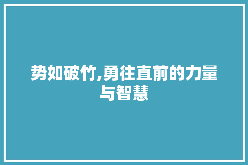 势如破竹,勇往直前的力量与智慧