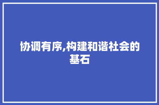 协调有序,构建和谐社会的基石