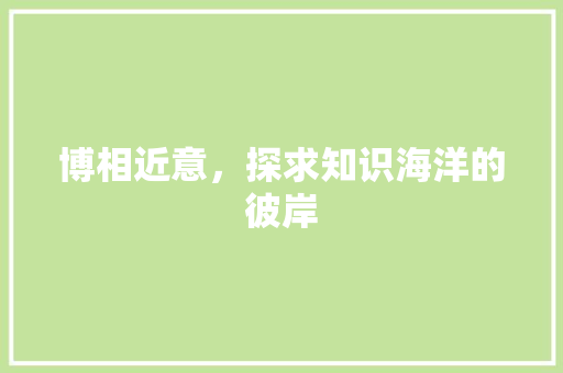 博相近意，探求知识海洋的彼岸
