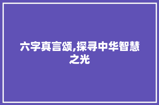 六字真言颂,探寻中华智慧之光