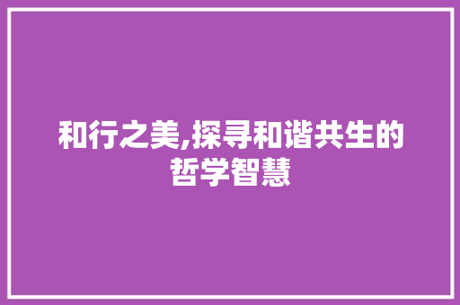 和行之美,探寻和谐共生的哲学智慧