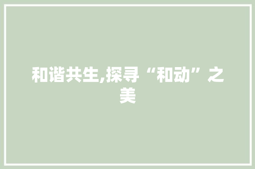 和谐共生,探寻“和动”之美