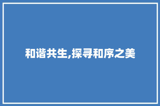 和谐共生,探寻和序之美