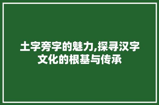 土字旁字的魅力,探寻汉字文化的根基与传承