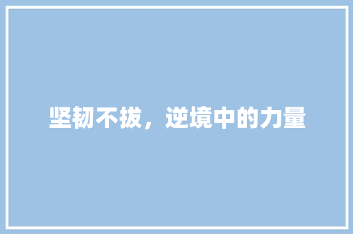 坚韧不拔，逆境中的力量