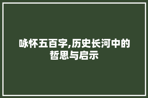 咏怀五百字,历史长河中的哲思与启示