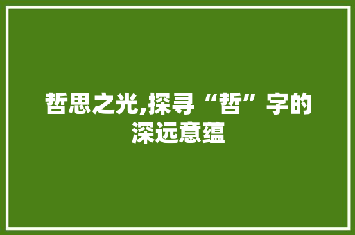 哲思之光,探寻“哲”字的深远意蕴