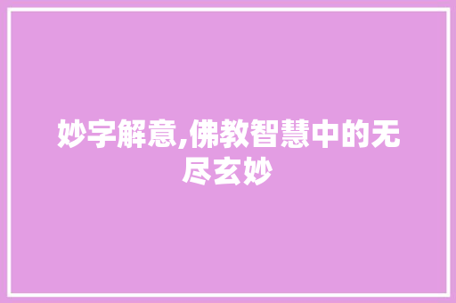 妙字解意,佛教智慧中的无尽玄妙