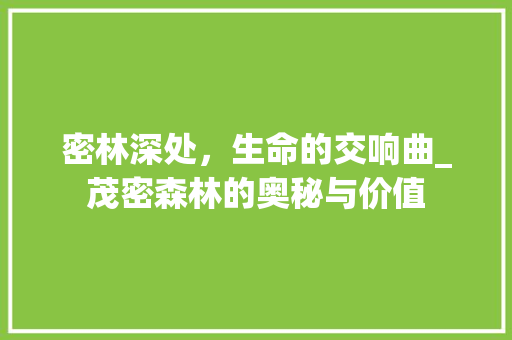 密林深处，生命的交响曲_茂密森林的奥秘与价值