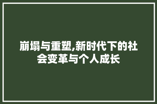 崩塌与重塑,新时代下的社会变革与个人成长
