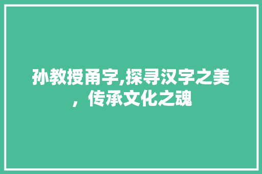 孙教授甬字,探寻汉字之美，传承文化之魂