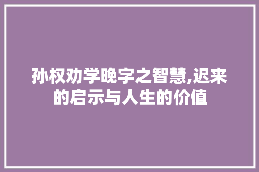 孙权劝学晚字之智慧,迟来的启示与人生的价值