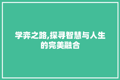 学弈之路,探寻智慧与人生的完美融合