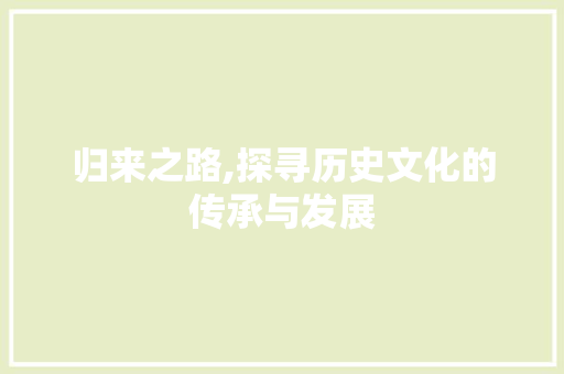 归来之路,探寻历史文化的传承与发展