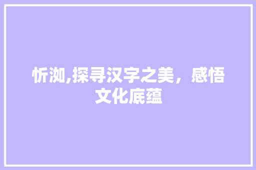 忻洳,探寻汉字之美，感悟文化底蕴