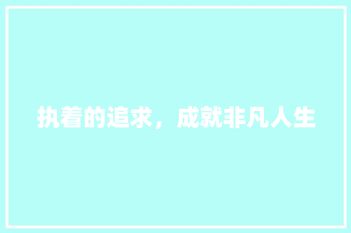 执着的追求，成就非凡人生