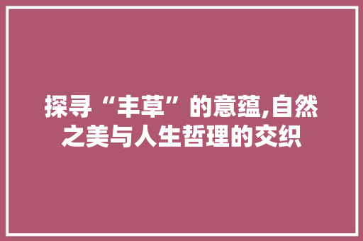 探寻“丰草”的意蕴,自然之美与人生哲理的交织
