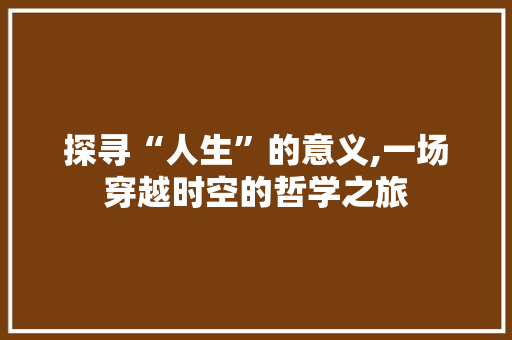 探寻“人生”的意义,一场穿越时空的哲学之旅