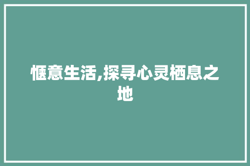 惬意生活,探寻心灵栖息之地