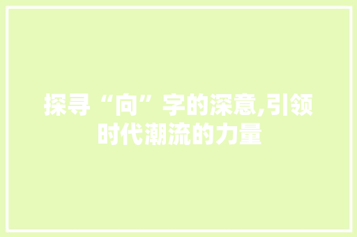 探寻“向”字的深意,引领时代潮流的力量