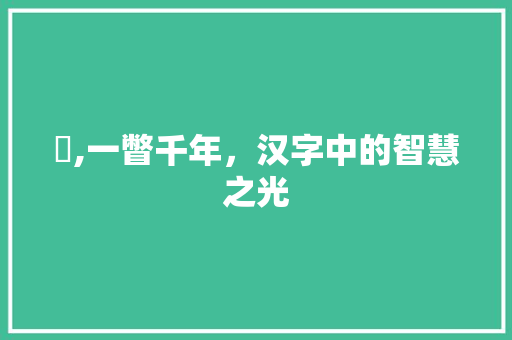 曌,一瞥千年,汉字中的智慧之光