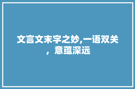 文言文末字之妙,一语双关，意蕴深远