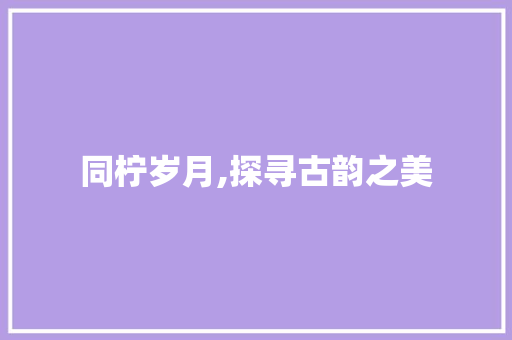 同柠岁月,探寻古韵之美