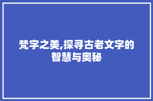 梵字之美,探寻古老文字的智慧与奥秘