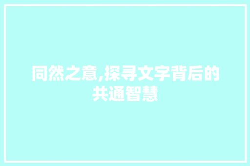 同然之意,探寻文字背后的共通智慧