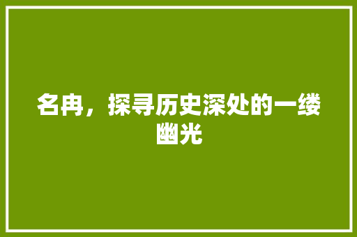 名冉，探寻历史深处的一缕幽光