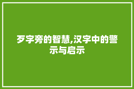 歹字旁的智慧,汉字中的警示与启示