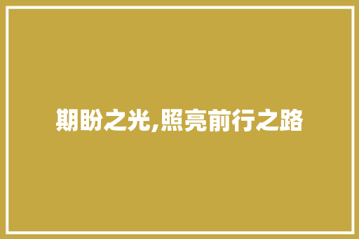 期盼之光,照亮前行之路