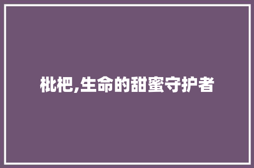 枇杷,生命的甜蜜守护者