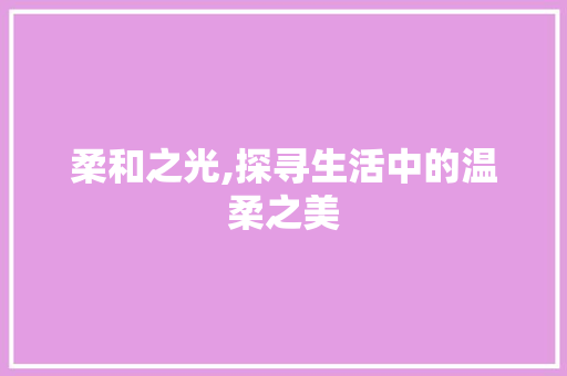 柔和之光,探寻生活中的温柔之美