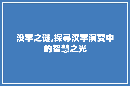 没字之谜,探寻汉字演变中的智慧之光