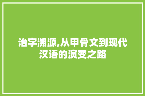 治字溯源,从甲骨文到现代汉语的演变之路