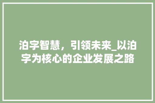 泊字智慧，引领未来_以泊字为核心的企业发展之路