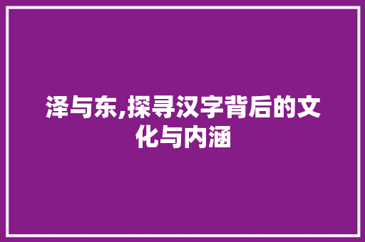 泽与东,探寻汉字背后的文化与内涵