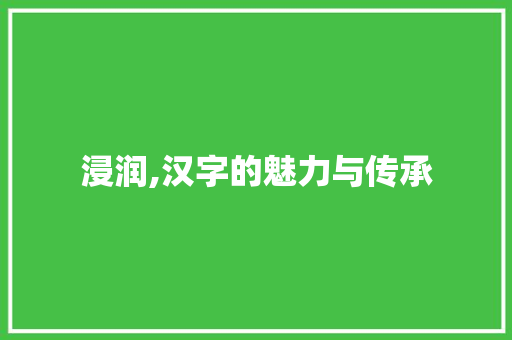 浸润,汉字的魅力与传承
