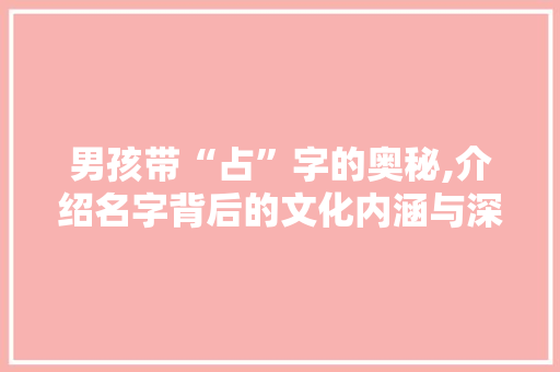 男孩带“占”字的奥秘,介绍名字背后的文化内涵与深远影响