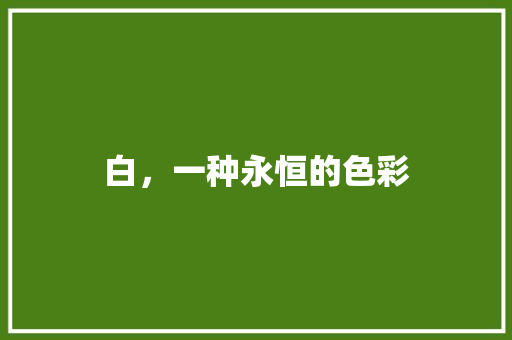 白，一种永恒的色彩