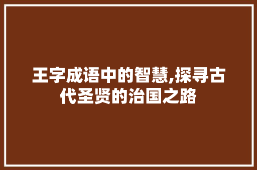 王字成语中的智慧,探寻古代圣贤的治国之路